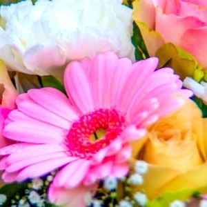 Meet your Posher, Ana